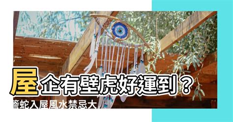 四腳蛇入屋風水|【屋企有四腳蛇風水】屋企有四腳蛇風水好嗎？會帶來不幸的預兆。